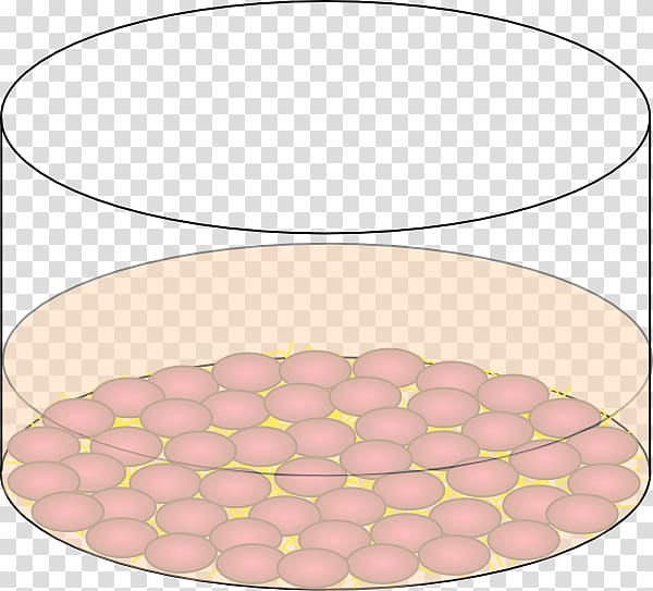Extracellular matrix, cells transparent background PNG.