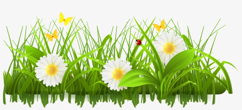 meadow clip art 10 free Cliparts | Download images on Clipground 2024