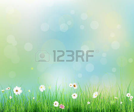 87,896 Meadow Stock Vector Illustration And Royalty Free Meadow.