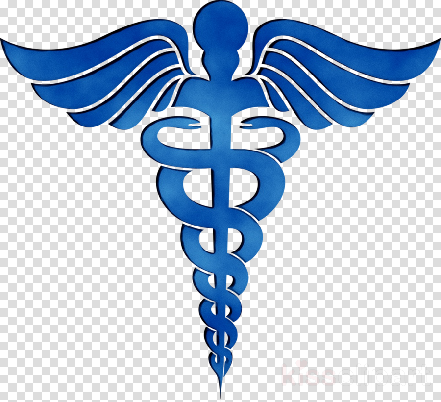 Download Nurse Logo Png Blue Medical Symbol Clipart P - vrogue.co
