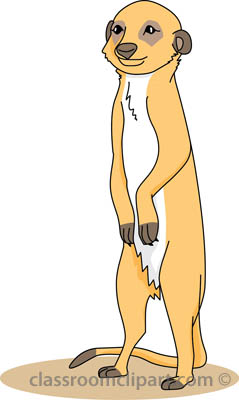 Cartoon meerkat clipart.