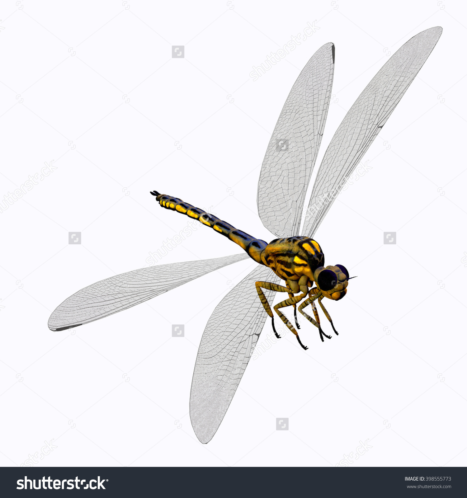 Meganeura Dragonfly Body 3d Illustration.