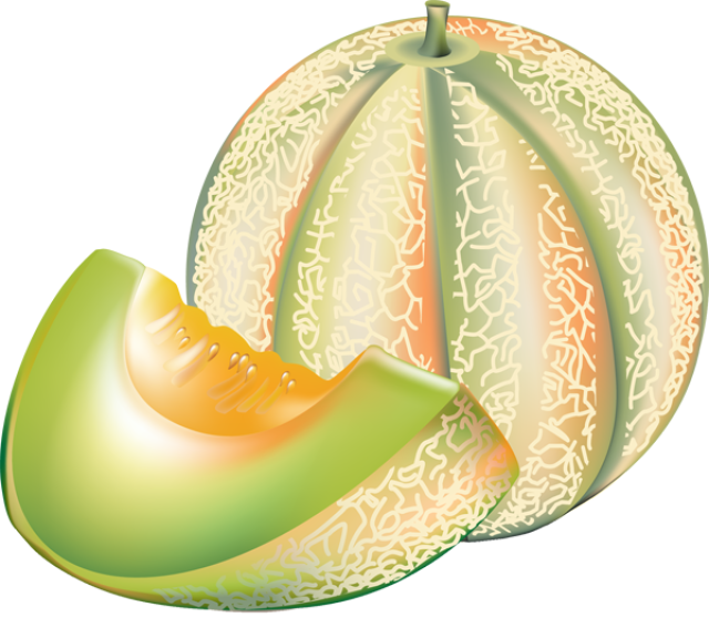 Melon Clipart.