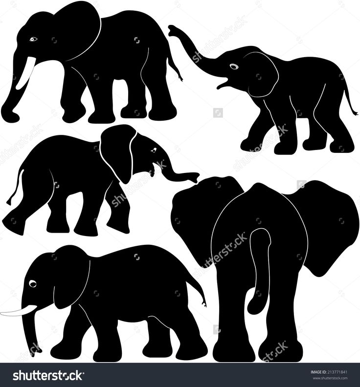 Download Baby Elephant Clipart Silhouette