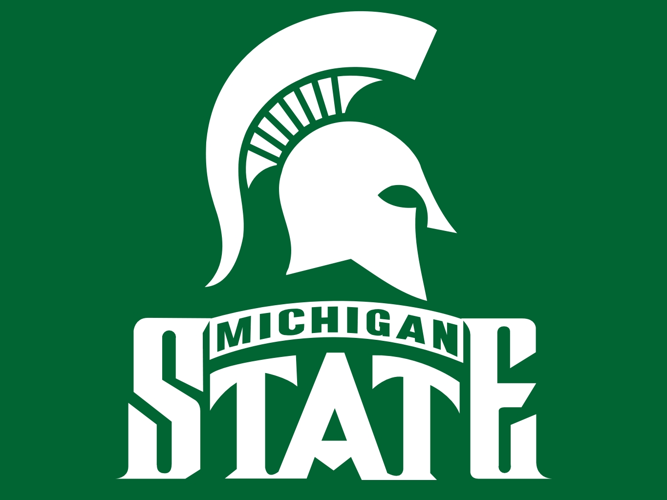 Michigan State University Nail Art - wide 6