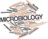 Microbiology Clip Art and Stock Illustrations. 11,543 microbiology.