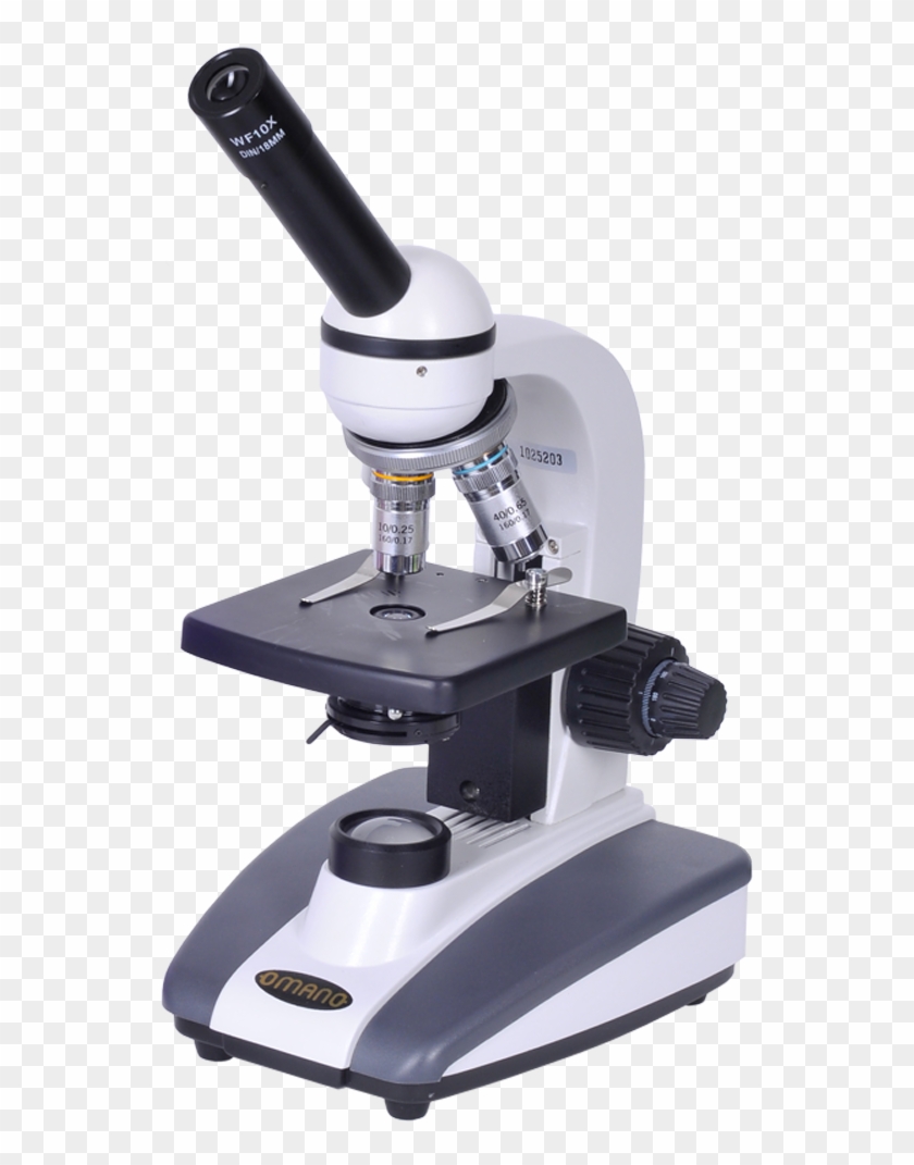 Biology, Student Compound Microscope Photos.