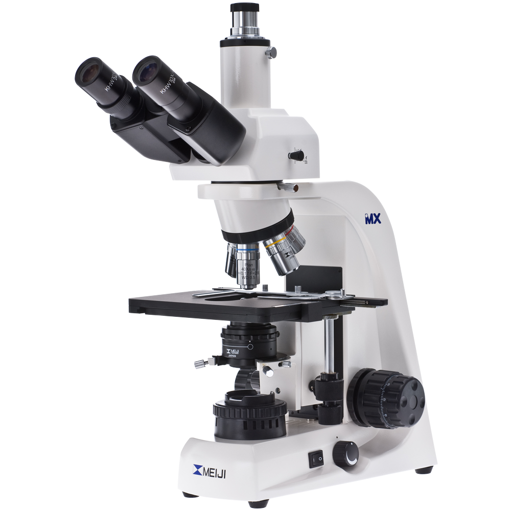 Microscope PNG images free download.