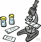 Microscope slide.