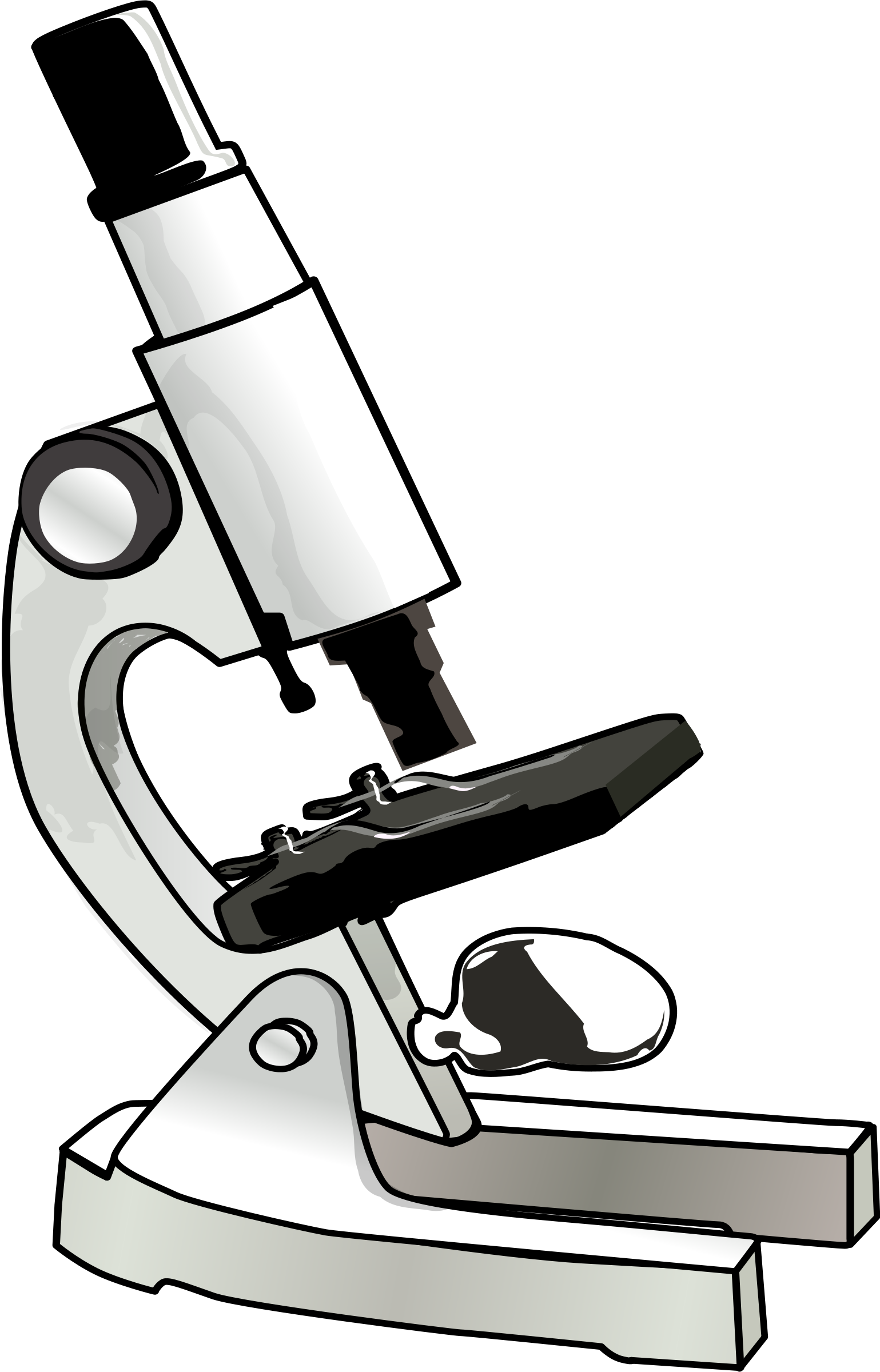 A Diagram Of A Microscope.