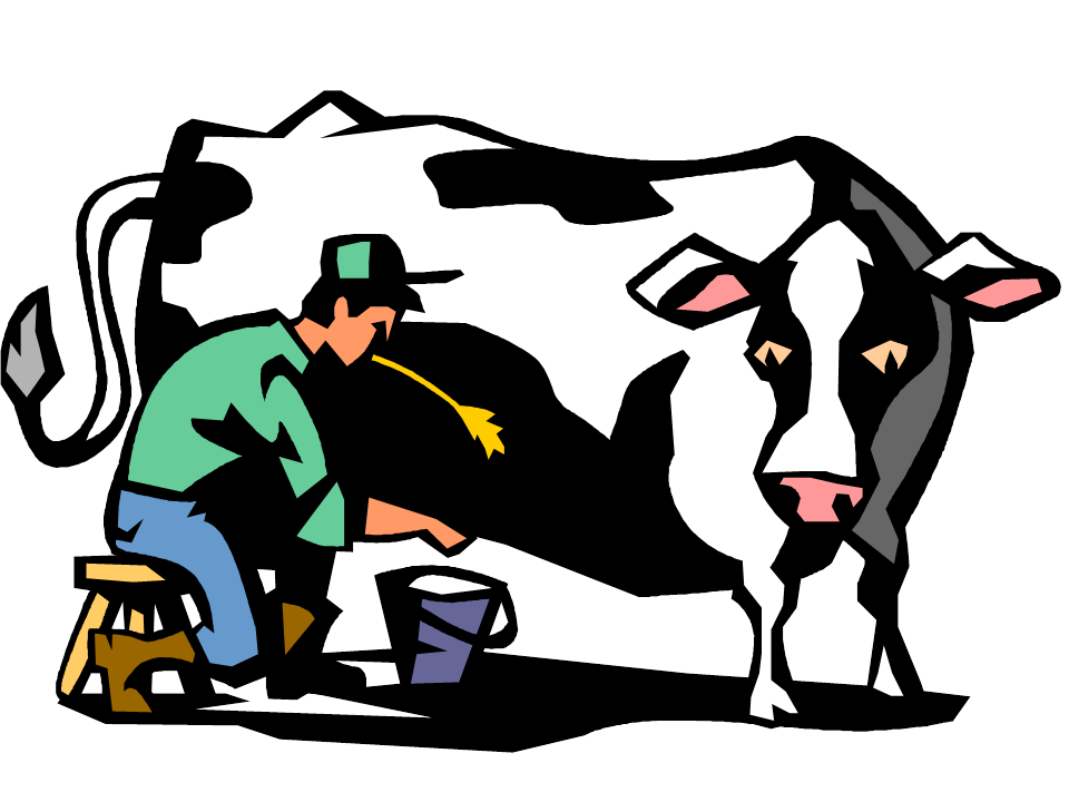 Milk cows clipart 20 free Cliparts | Download images on Clipground 2022