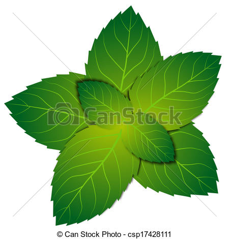 Mint Clipart and Stock Illustrations. 10,761 Mint vector EPS.
