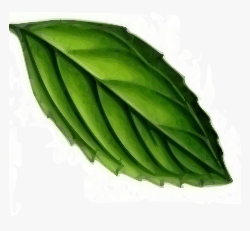 Mint Leaf Svg Clip Arts.