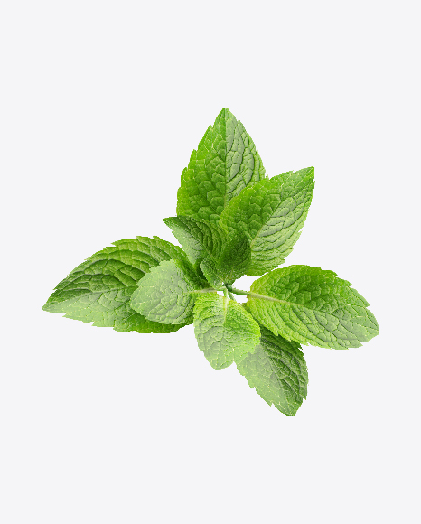 Download Mint Leaves Transparent PNG on Yellow Images 360°.