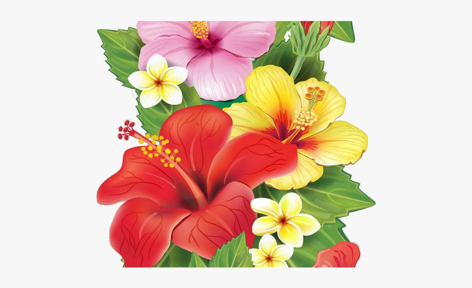 moana flowers clipart 10 free cliparts download images on clipground 2021