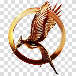 Mockingjay PNG clipart images free download.