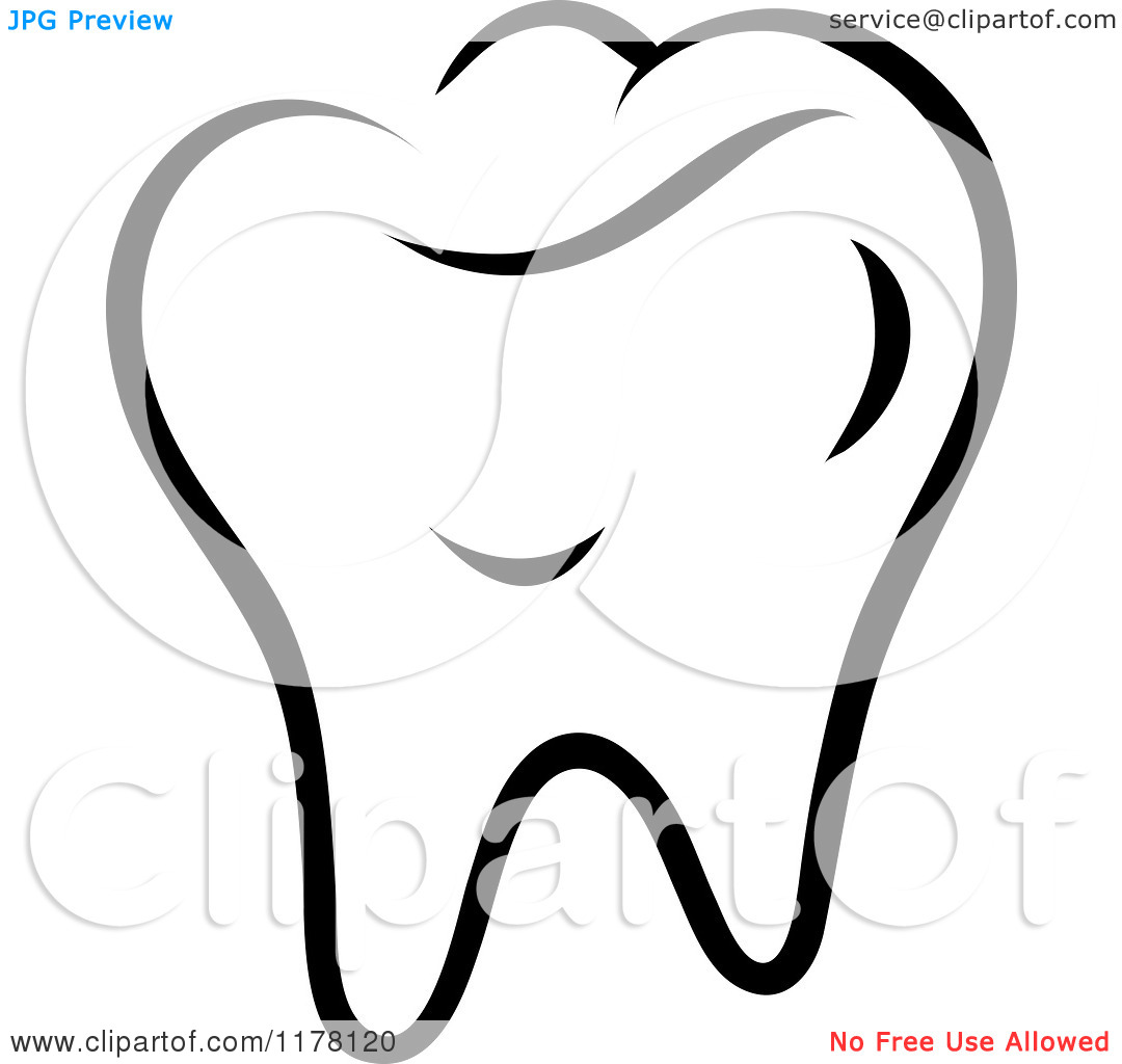 Molar Clipart 20 Free Cliparts Download Images On Clipground 2024