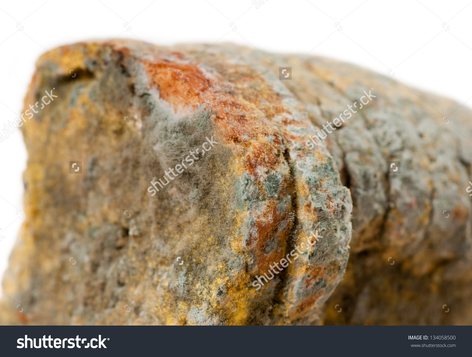 Zoom Moldy Bread Slices Portion Food Stock Photo 134058500.