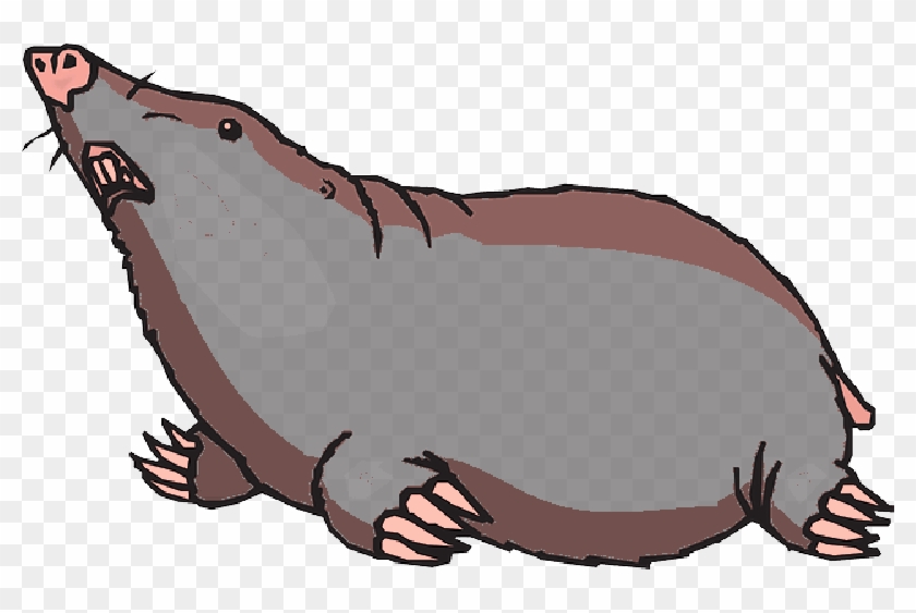 Mole Clipart , Png Download.