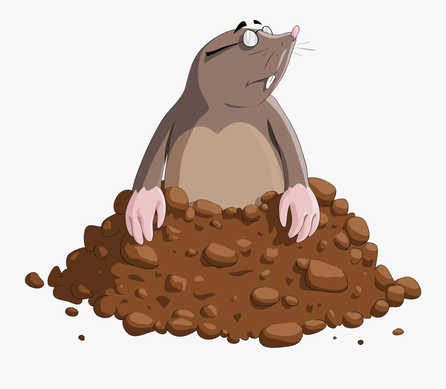 moles clipart 10 free Cliparts | Download images on Clipground 2023