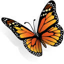 Clip art monarch butterfly.