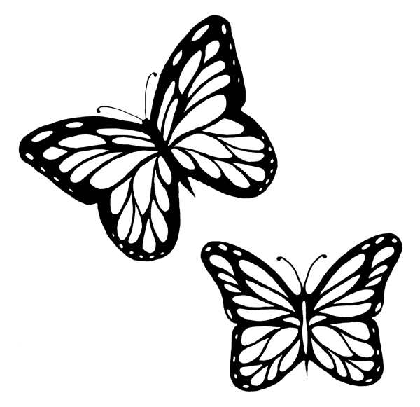 Butterfly Black And White clipart.