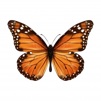 monarch butterfly logo 10 free Cliparts | Download images on Clipground ...