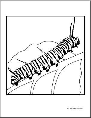 Clip Art: Butterfly: Monarch Caterpillar (coloring page) I.