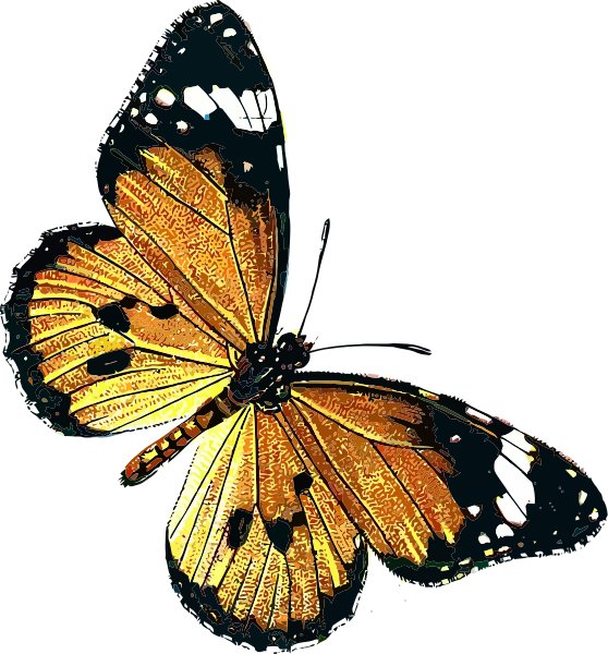 Monarch Clip Art Download.