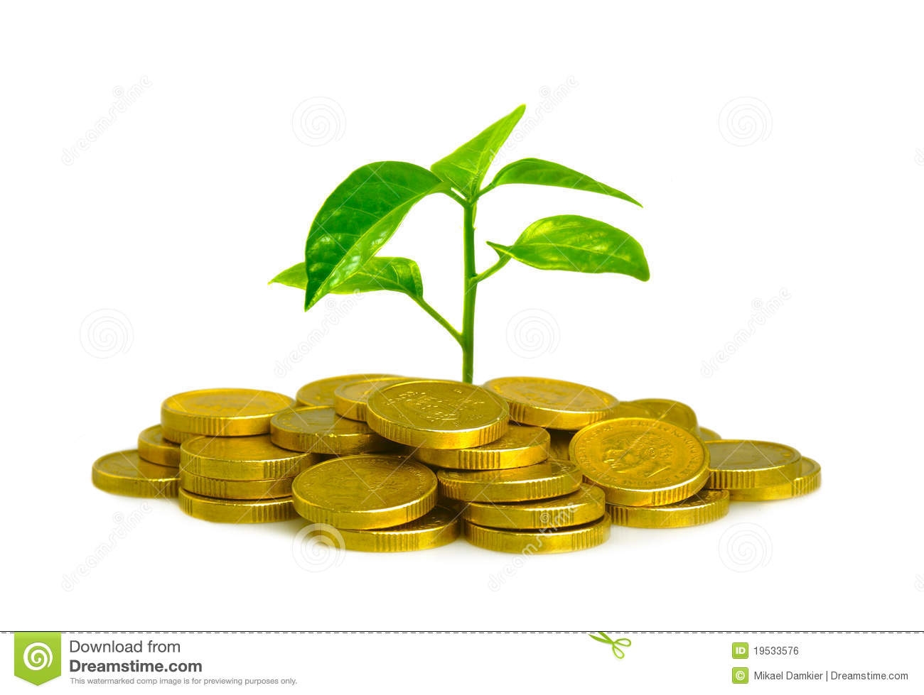 Money Plant Clipart.