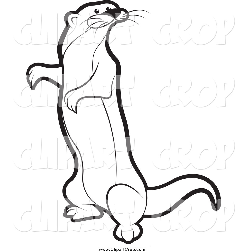 Mongoose clipart 20 free Cliparts | Download images on Clipground 2022