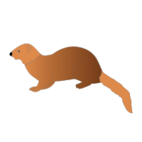 Three mongoose clipart 20 free Cliparts | Download images on Clipground