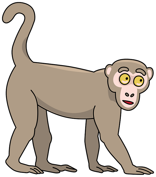 Monkey clipart. Free download..