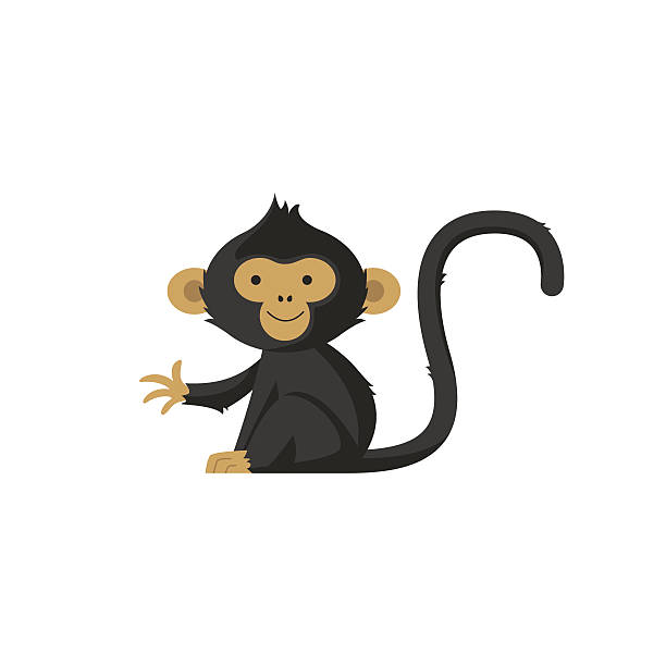 Best Monkey Illustrations, Royalty.