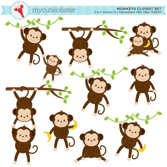 Monkeys Clip Art 10 Free Cliparts Download Images On Clipground 2022