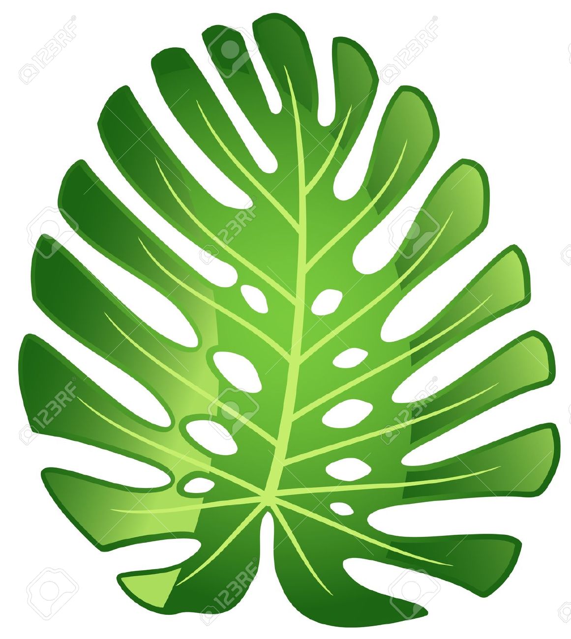 Monstera deliciosa clipart 20 free Cliparts | Download images on