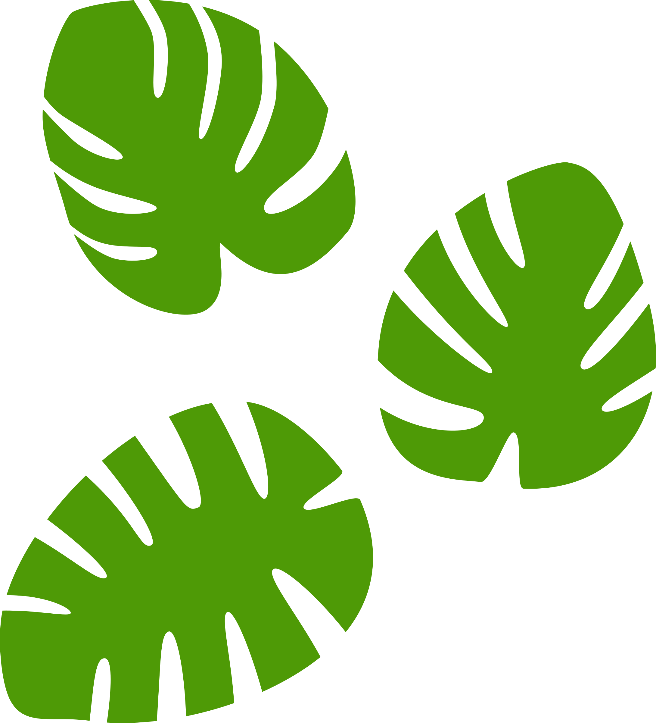 Monstera Leaf Clipart 10 Free Cliparts Download Images On Clipground 2021.