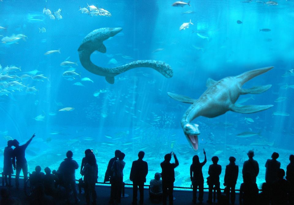 New Monterey Bay Aquarium exhibit.