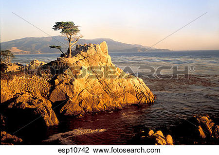 Stock Photo of California, Monterey Bay, Carmel Coast, famous.
