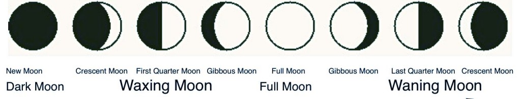 Moon Phases Clipart Black And White.