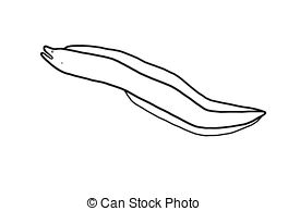 Moray eel Clipart and Stock Illustrations. 88 Moray eel vector EPS.