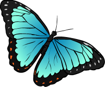 Morpho clipart 20 free Cliparts | Download images on Clipground 2021