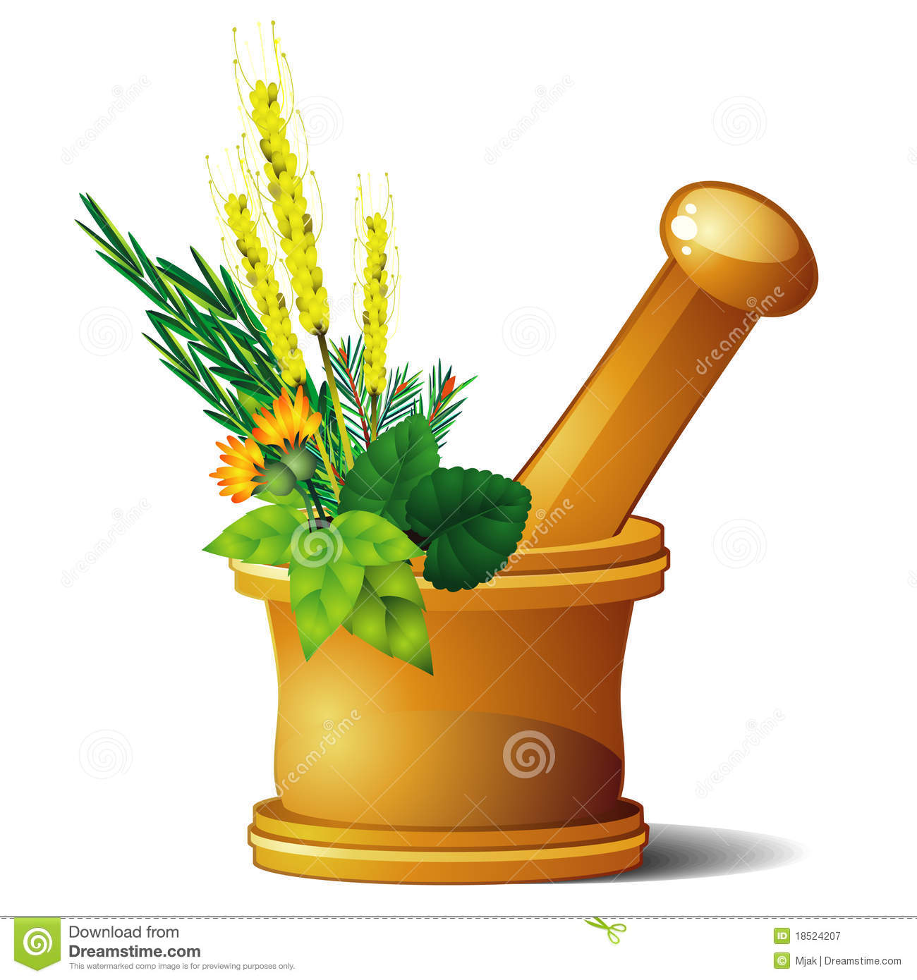 Spices Mortar and Pestle.