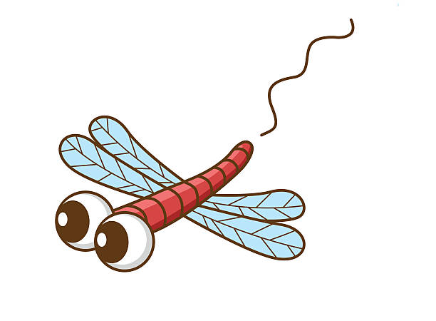 Clip Art Of A Mosquito Hawk Clip Art, Vector Images.
