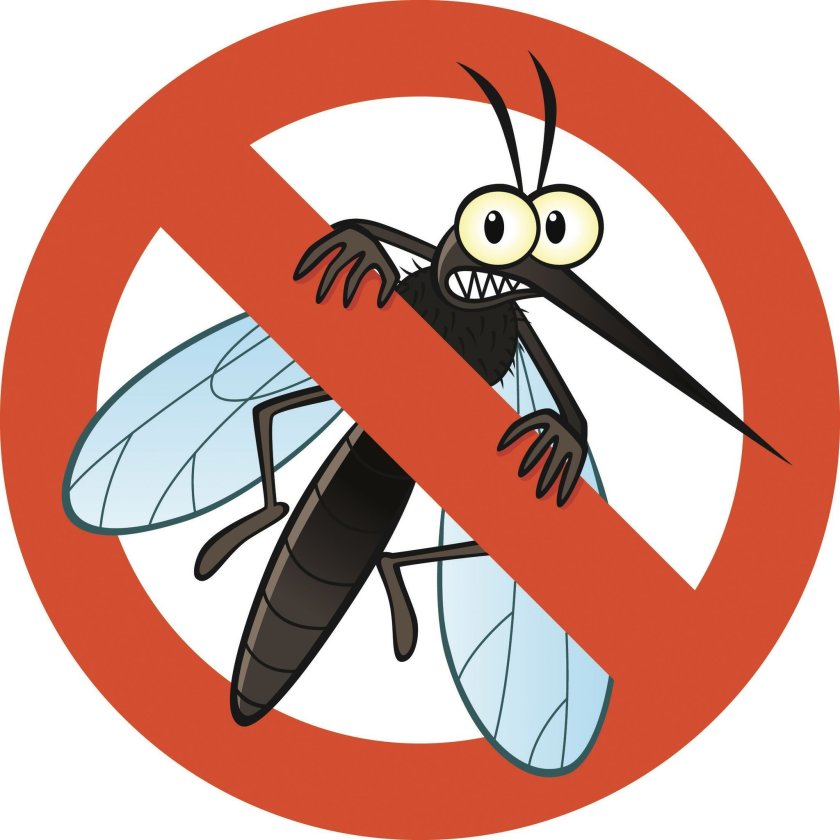 Mosquito clipart hurt, Mosquito hurt Transparent FREE for.