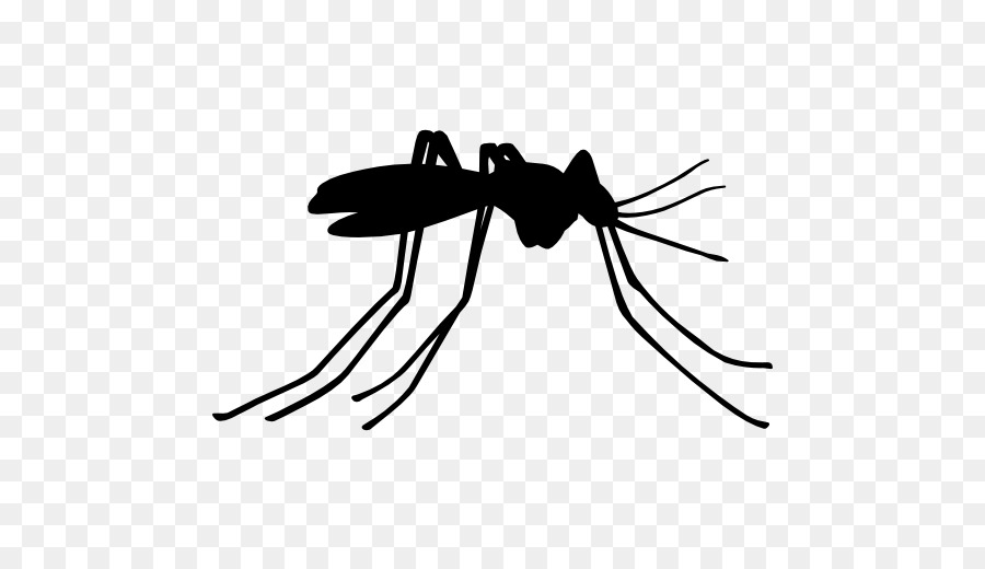 Mosquito Cartoon clipart.