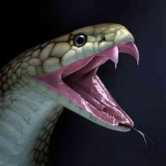 Mean Green Cobra Snake With Fangs Clipart.