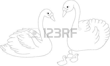 143 Baby Swan Stock Vector Illustration And Royalty Free Baby Swan.
