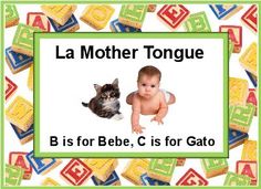 mother tongue the story of the english language