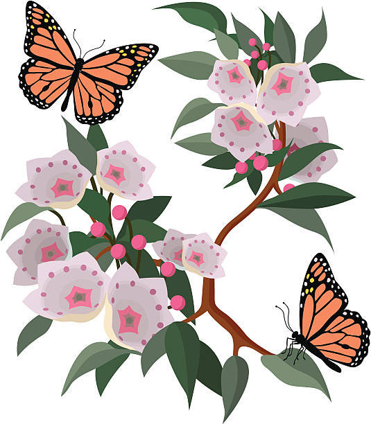 mountain laurel clipart 10 free Cliparts Download images on